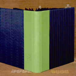 אלבום חתונה גדול