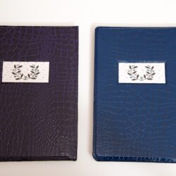 עבודת שורשים ל 2 אחים