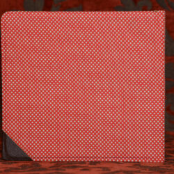 ספר תינוקות אדום מנוקד