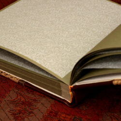 דפים ירוק אפור יפייפה