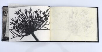 ספר אישי, פורטפוליו ל״שנקר״