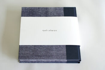 אריזת הספר דניאלה להבי