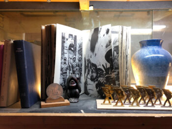 מדף ספרים באוירה ישראלית