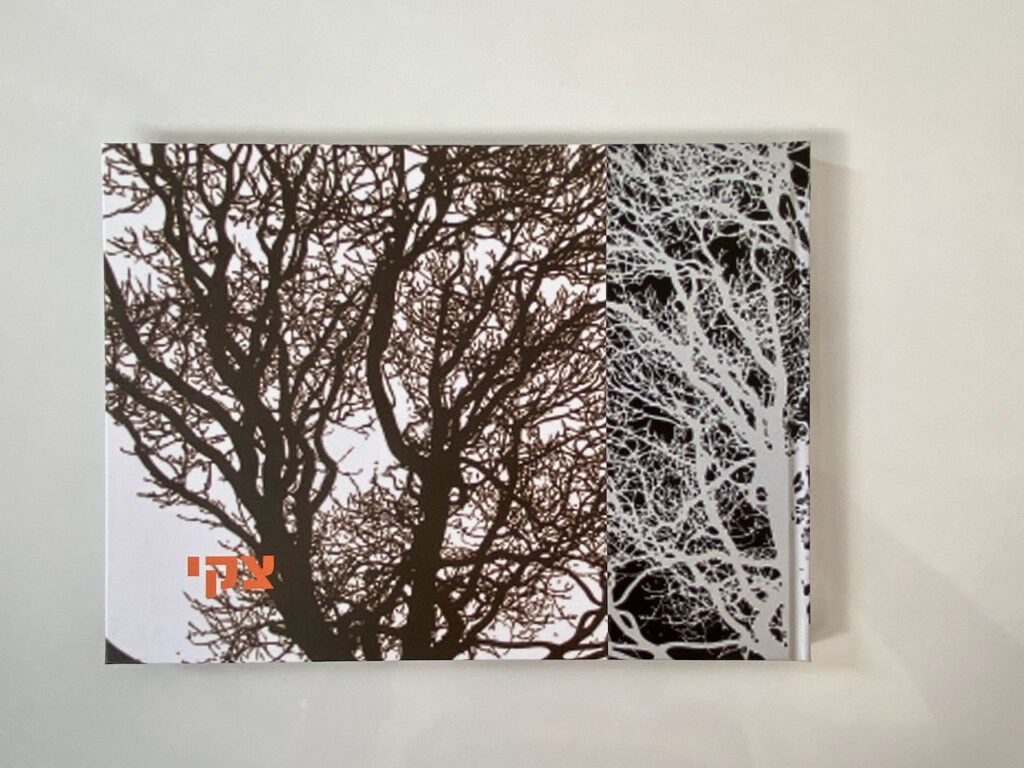 צקי נהרג כשהיה בן 19