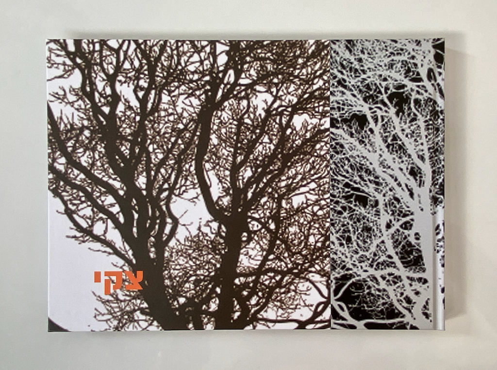 תיעוד סיפור חיים