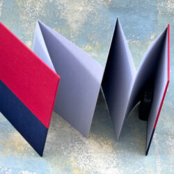 אקורדיון אדום בשילוב כחול משי 2