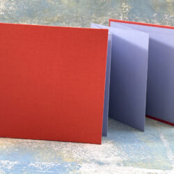 אקורדיון בצבע אדמה