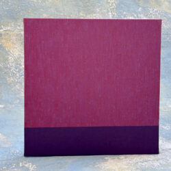 אקורדיון תמונות